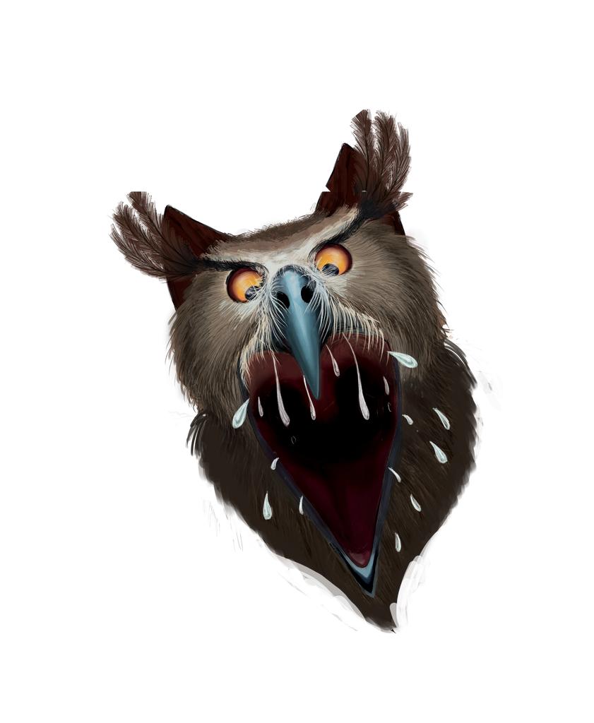 Catowl Copy