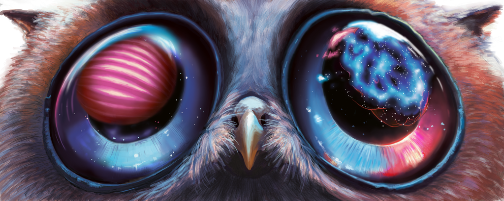 KittenOwlette's Wonder