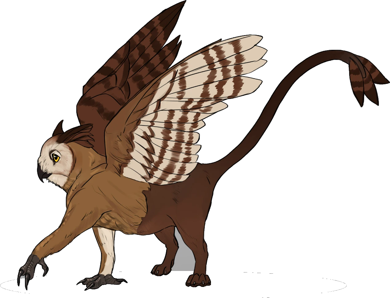 CatOwl