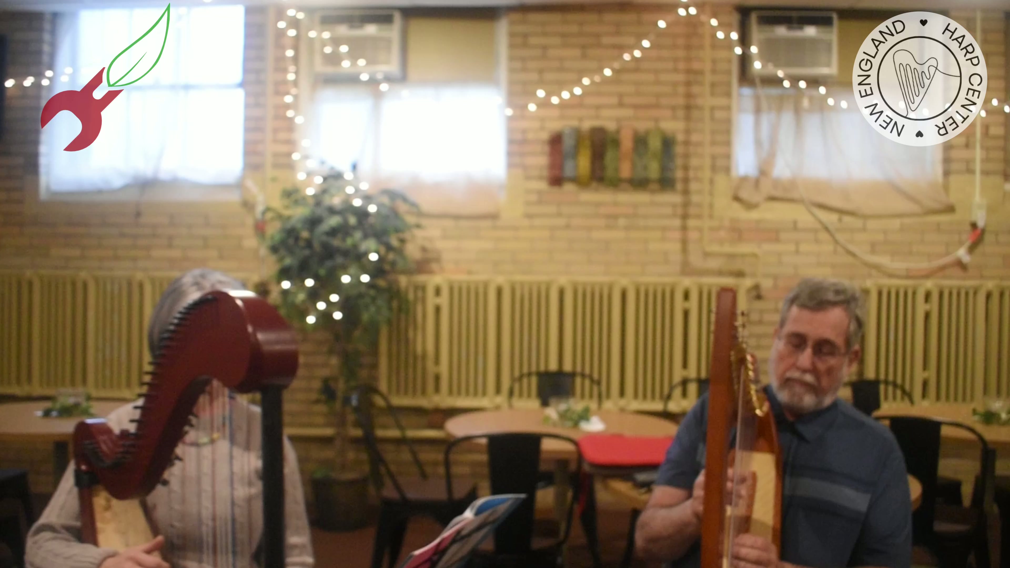 Haley Hewitt performing harp in a cinematic setting