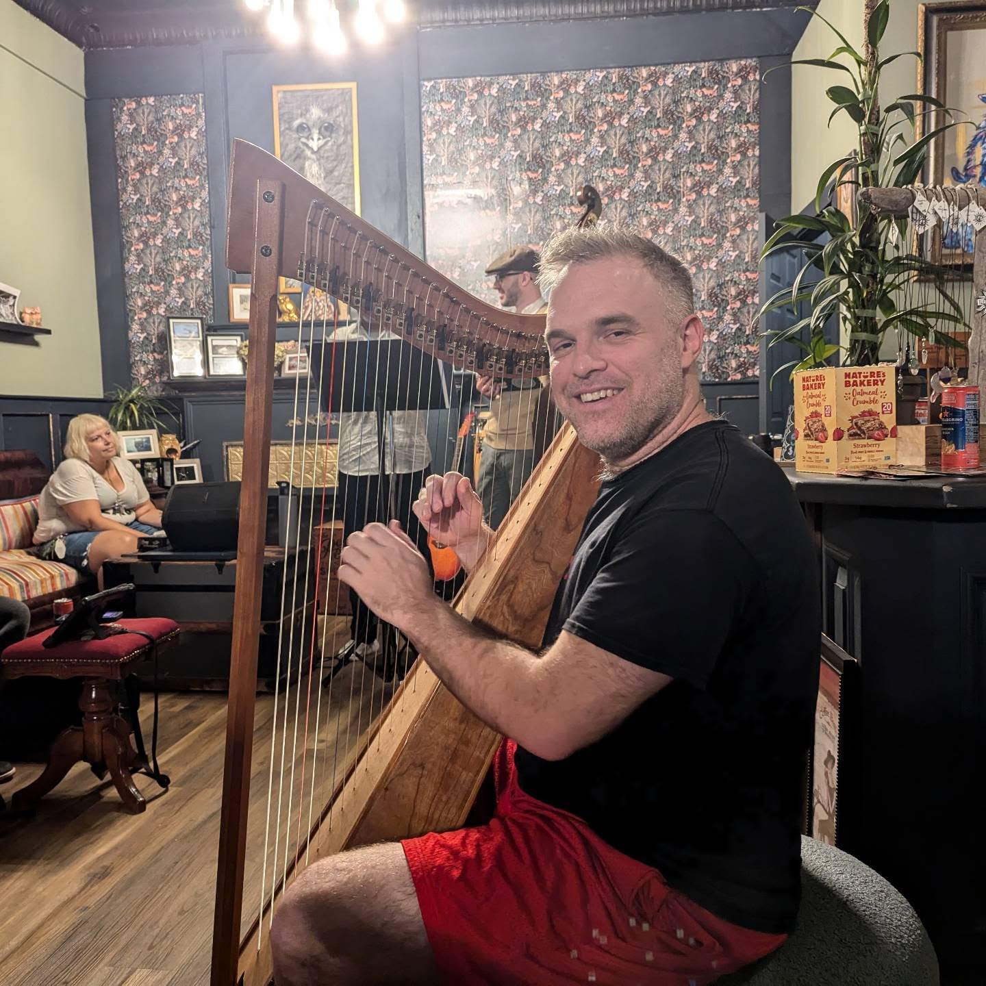 Harp performance captured on camera