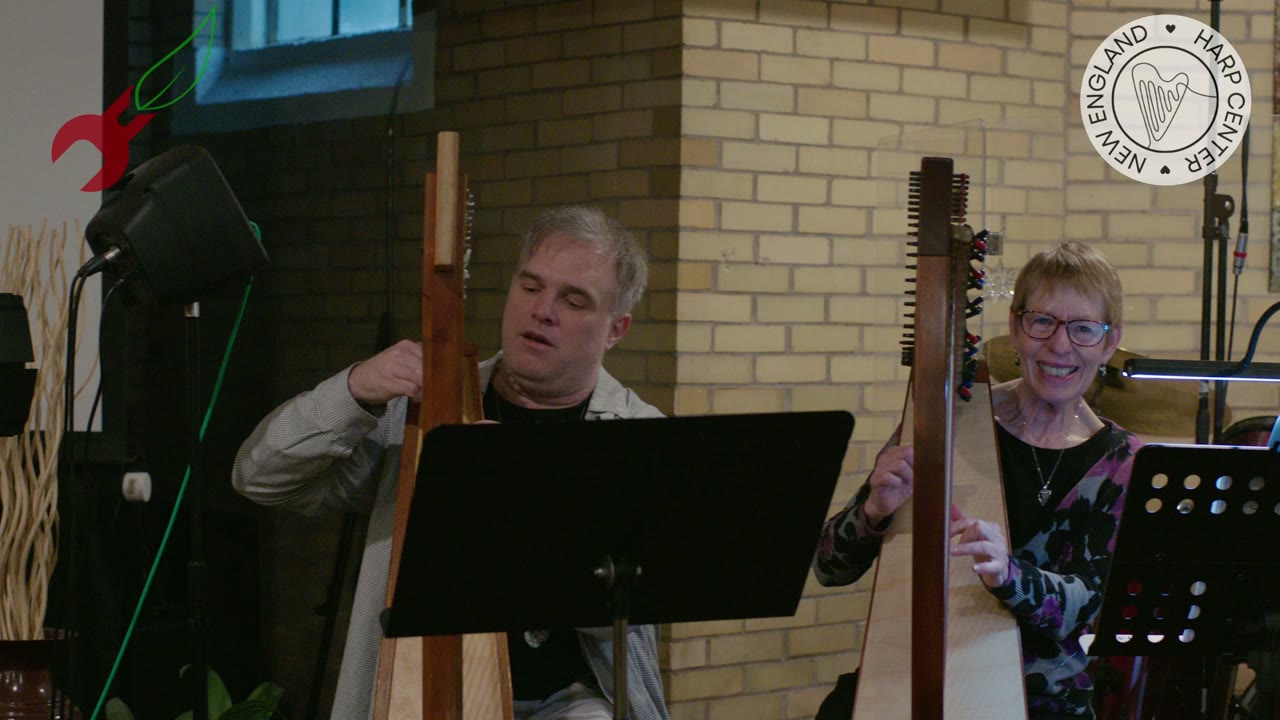 Haley Hewitt performing harp in a cinematic setting