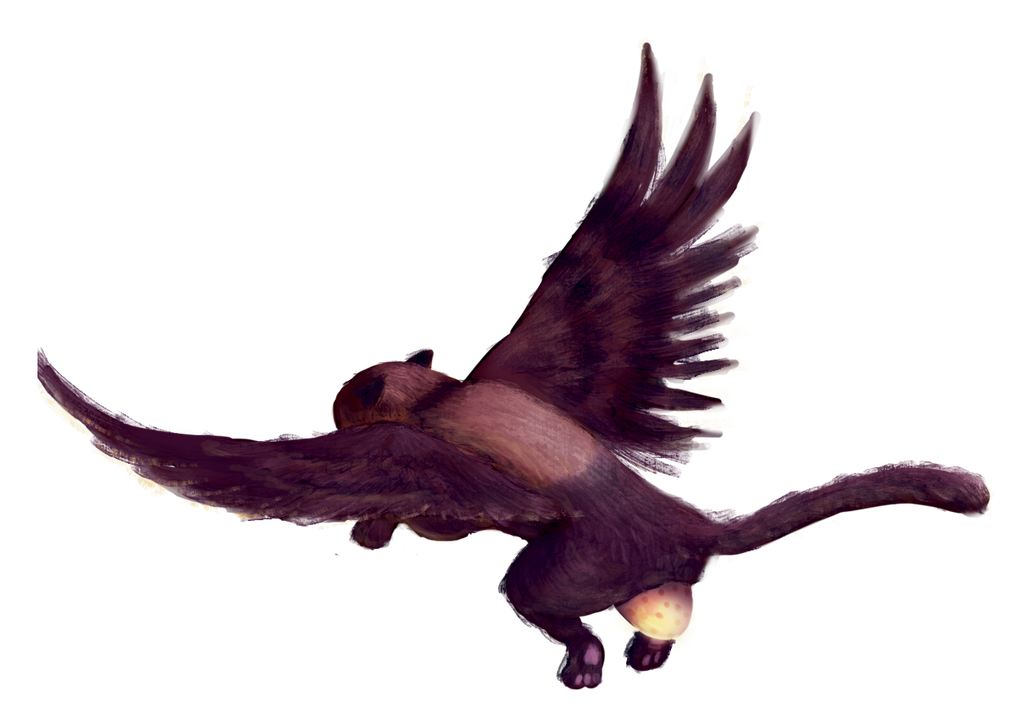 Catowl