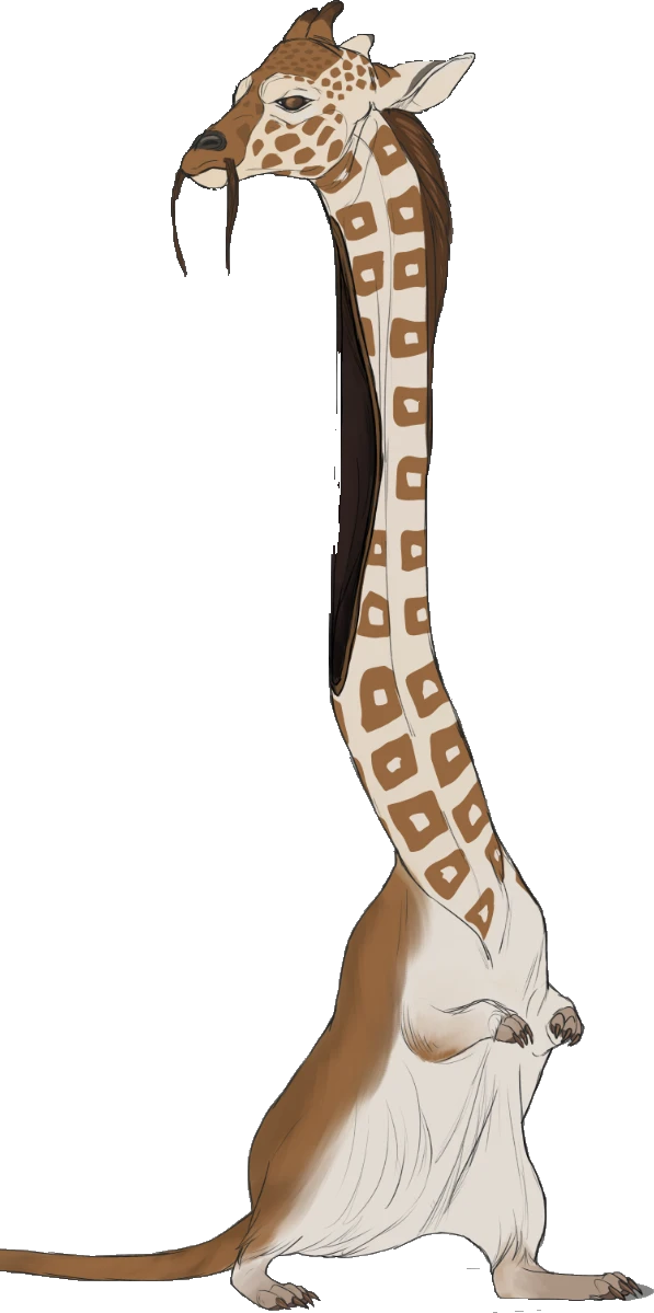 GerbilRaffe